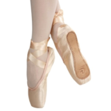 Basic Pointe Shoes